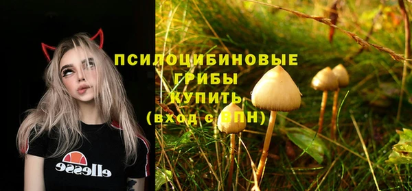 MESCALINE Заволжье