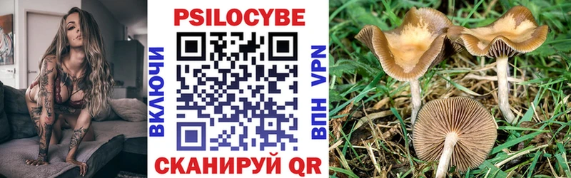 где купить наркоту  Карасук  Галлюциногенные грибы ЛСД 