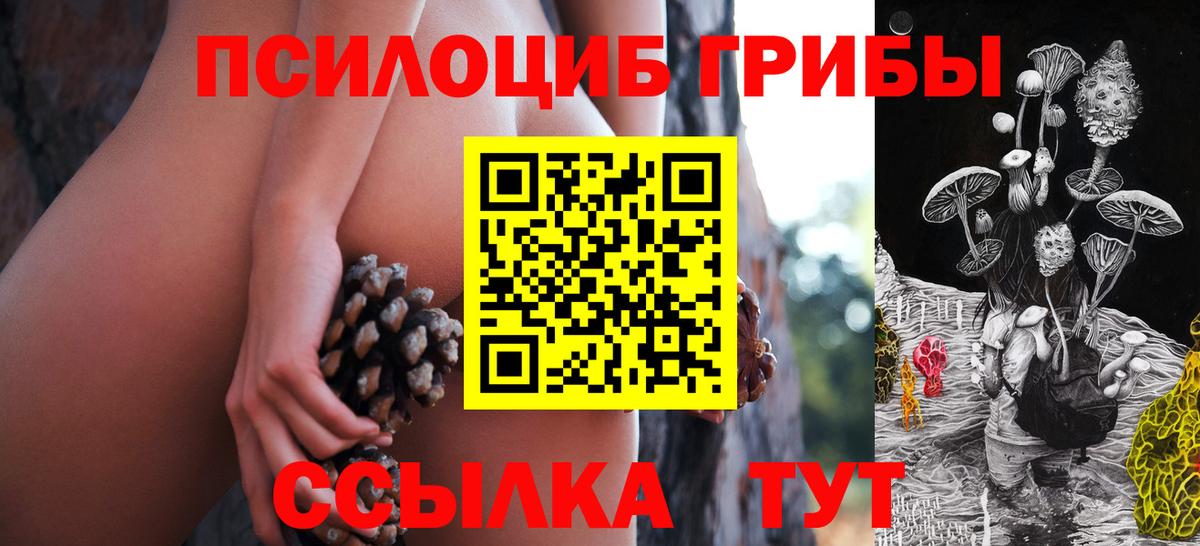 Псилоцибиновые грибы Psilocybine cubensis Карасук