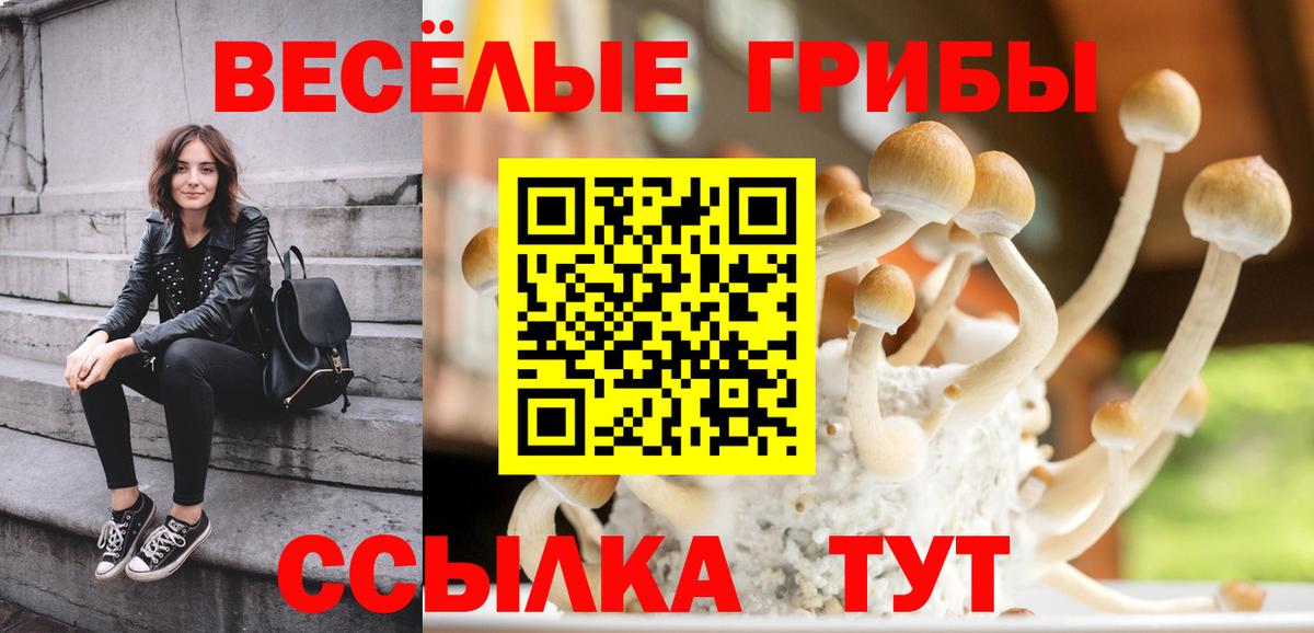 Карасук  Псилоцибиновые грибы GOLDEN TEACHER  Вход с VPN 