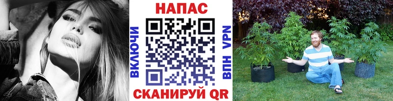 как найти наркотики  МЕГА как зайти  Канабис VHQ  Карасук 